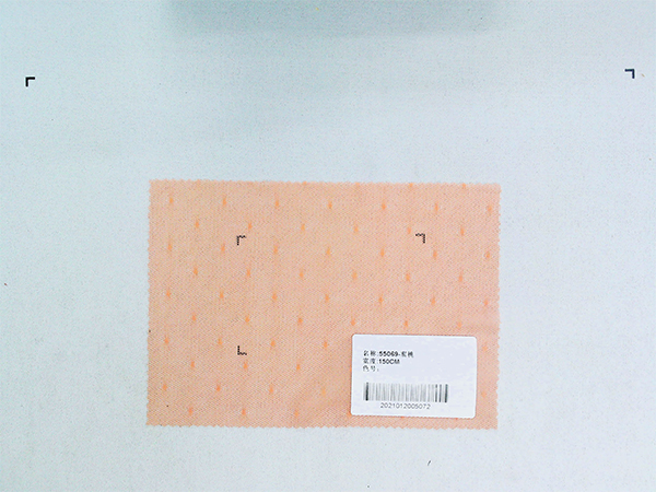 55069-蜜桃