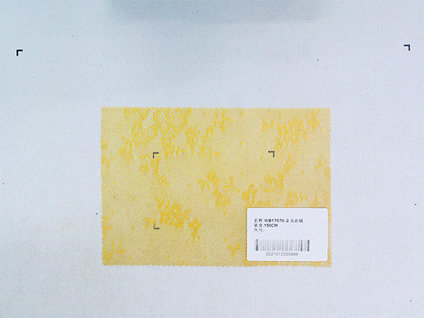 17070-金盏花橘